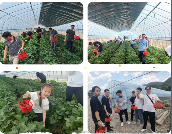 1684829190223349.png 5.png